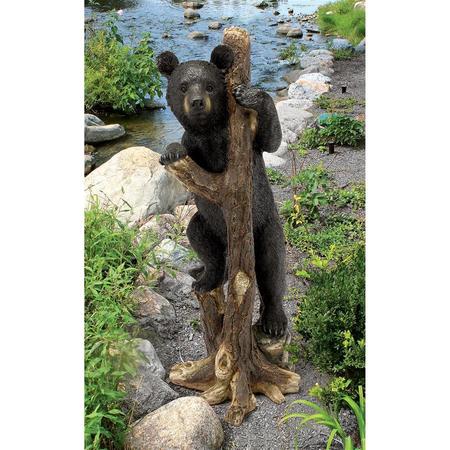 DESIGN TOSCANO Bashful Bear Cub Statue KY1879